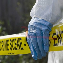 Potiskani nelepljivi trakovi 75mm x 250m  Potiskani nelepljivi trakovi 75mm x 250m